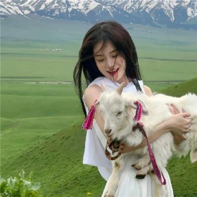 无头血案