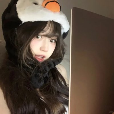 豆豆猫